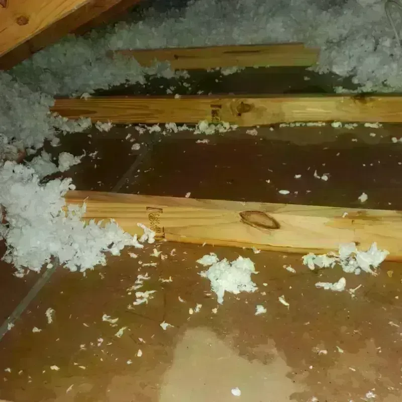 Attic Water Damage in Rockford, AL