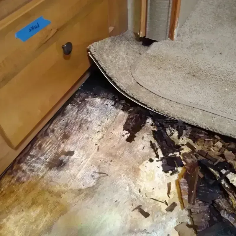 Wood Floor Water Damage in Rockford, AL